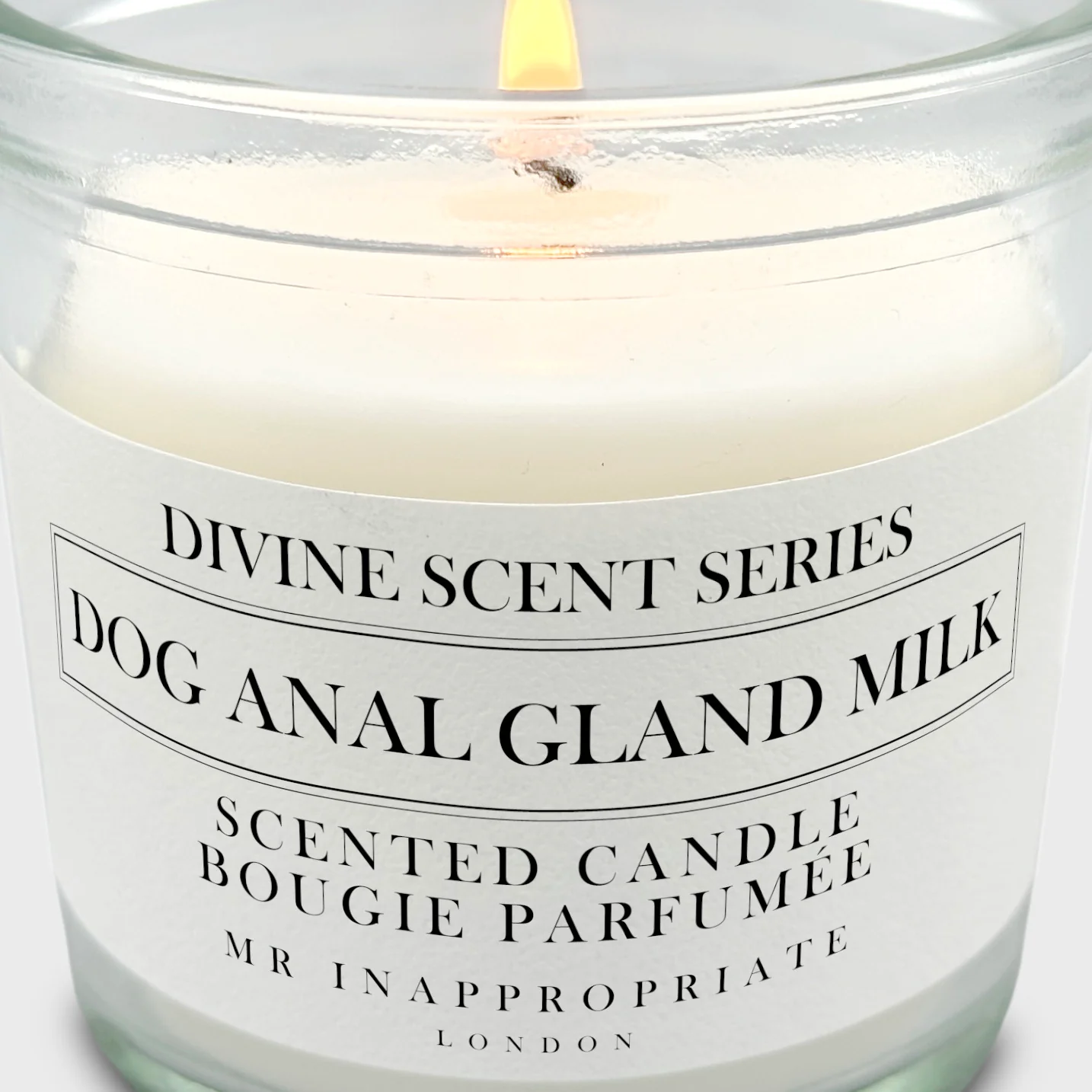 Small Candle - Dog Anal Gland Milk - Image 4