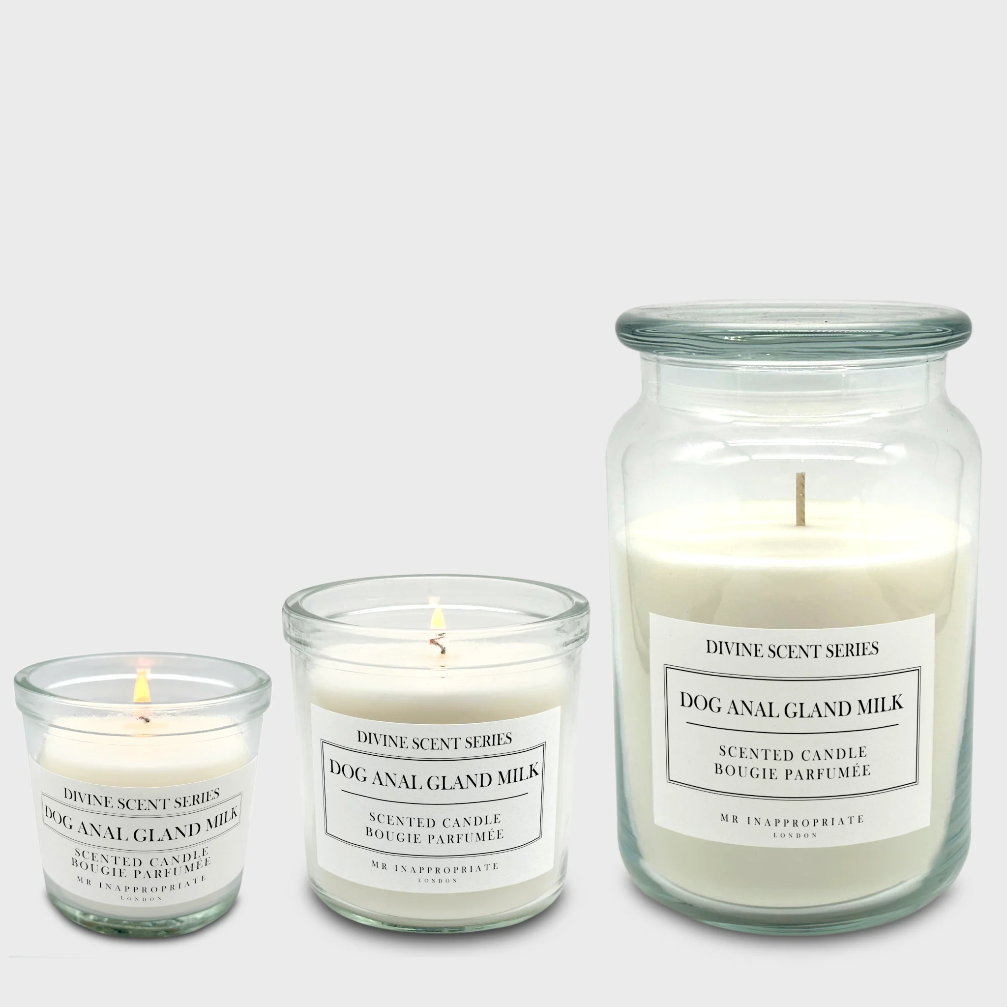 Small Candle - Dog Anal Gland Milk - Image 5